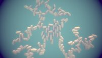 Automatic Transform Hierarchy Experiment: Bacilli screenshot, image №3566647 - RAWG