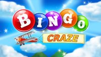 Bingo Craze screenshot, image №2078324 - RAWG