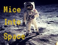 Mice Into Space screenshot, image №1280949 - RAWG