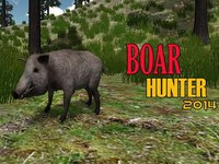 Boar Hunter 2015: Wild Pig Hunt screenshot, image №1757160 - RAWG