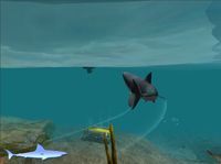 Jaws Unleashed screenshot, image №408227 - RAWG