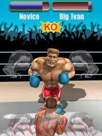 Pocket Boxing Legends screenshot, image №943067 - RAWG