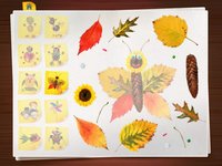 Creative Montessori - Nature Autumn - 123 Kids Fun screenshot, image №965916 - RAWG