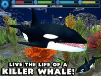 Orca Simulator screenshot, image №957818 - RAWG