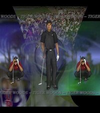 Tiger Woods PGA Tour 2001 screenshot, image №764825 - RAWG