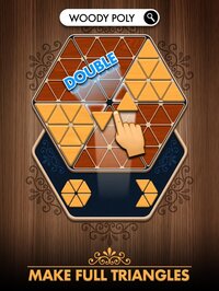 Woody Poly Block Hexa Triangle screenshot, image №2395933 - RAWG