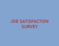 Job Satisfaction Survey screenshot, image №3297264 - RAWG