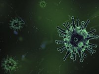A small biology world screenshot, image №1275264 - RAWG