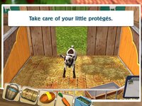 PetWorld: Animal Shelter screenshot, image №1843901 - RAWG