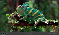 Puzzle Fauna 2022 screenshot, image №3439858 - RAWG