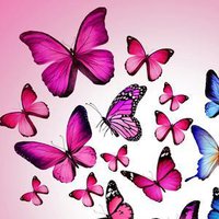 Butterfly Maze screenshot, image №1288854 - RAWG