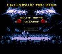 Boxing Legends of the Ring screenshot, image №758595 - RAWG