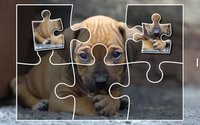 Puppies Jigsaw Puzzles Free Pet Games for Kids screenshot, image №1492937 - RAWG