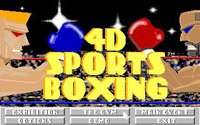 4D Sports Boxing screenshot, image №743513 - RAWG