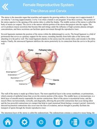 The Female Reproductive System screenshot, image №1613356 - RAWG