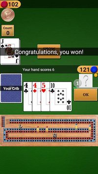 Cribbage Pro Online! screenshot, image №1351173 - RAWG