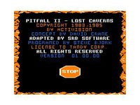 Pitfall II: Lost Caverns screenshot, image №727330 - RAWG