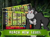 Slot Machines: Book of Mystery Jungle – Play Casino Treasure Tournaments screenshot, image №1647375 - RAWG