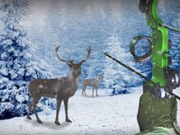 Bow Hunter Russia: Archery Game - Wild Animals Hunting in 3D screenshot, image №981112 - RAWG