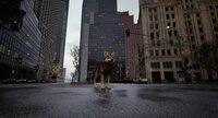 WOLF IN THE CITY screenshot, image №3990445 - RAWG