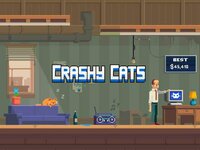 Crashy Cats screenshot, image №2405925 - RAWG