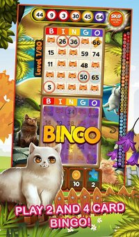 Bingo Pets Mania: Cat Craze screenshot, image №1360138 - RAWG