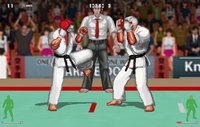 Karate Master 2 Knock Down Blow screenshot, image №136678 - RAWG