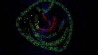 Watch as an Evil Cursor Destroys all of your Beautiful Drawings screenshot, image №2605331 - RAWG