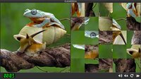 Puzzle Insects screenshot, image №3371574 - RAWG