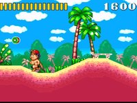 Super Adventure Island (1992) screenshot, image №762727 - RAWG