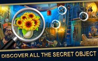 Hidden Object: House Mysteries screenshot, image №3325185 - RAWG