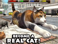 Ultimate Cat Simulator screenshot, image №1559777 - RAWG