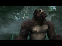 Peter Jackson's King Kong: The Official Game of the Movie screenshot, image №429930 - RAWG