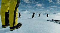 Kolb Antarctica Experience screenshot, image №866251 - RAWG