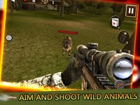 Jungle Hunter Animal - Wolf Shoot Wild screenshot, image №1325377 - RAWG