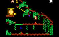 Kong! screenshot, image №2385728 - RAWG