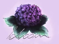 Bloom (itch) (Shaidel, Mistermerman, Lajryn) screenshot, image №2332203 - RAWG