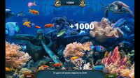 Sea Life Explorer Collector's Edition screenshot, image №4201734 - RAWG