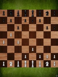 Mr Chess Pro screenshot, image №1747194 - RAWG