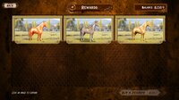 Cruise Ship Horse Racing screenshot, image №3278281 - RAWG