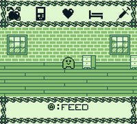 Pet House screenshot, image №2245997 - RAWG