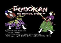 Budokan: The Martial Spirit (1991) screenshot, image №747725 - RAWG