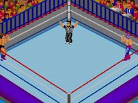 Fire Pro Wrestling Combination Tag screenshot, image №3943745 - RAWG