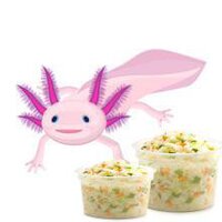 Untitled Axolotl Coleslaw Game screenshot, image №3359337 - RAWG
