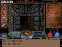 Ultima Underworld: The Stygian Abyss screenshot, image №302975 - RAWG