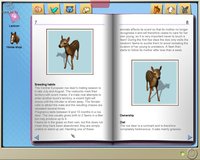 Paws & Claws Pet Vet 2: Healing Hands screenshot, image №481089 - RAWG