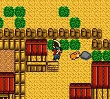 Harvest Moon GB screenshot, image №742772 - RAWG