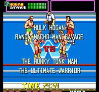 WWF Superstars screenshot, image №752320 - RAWG