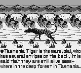 Tasmania Story screenshot, image №752115 - RAWG