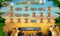 Flamingo Safari Slots PAID screenshot, image №1400925 - RAWG